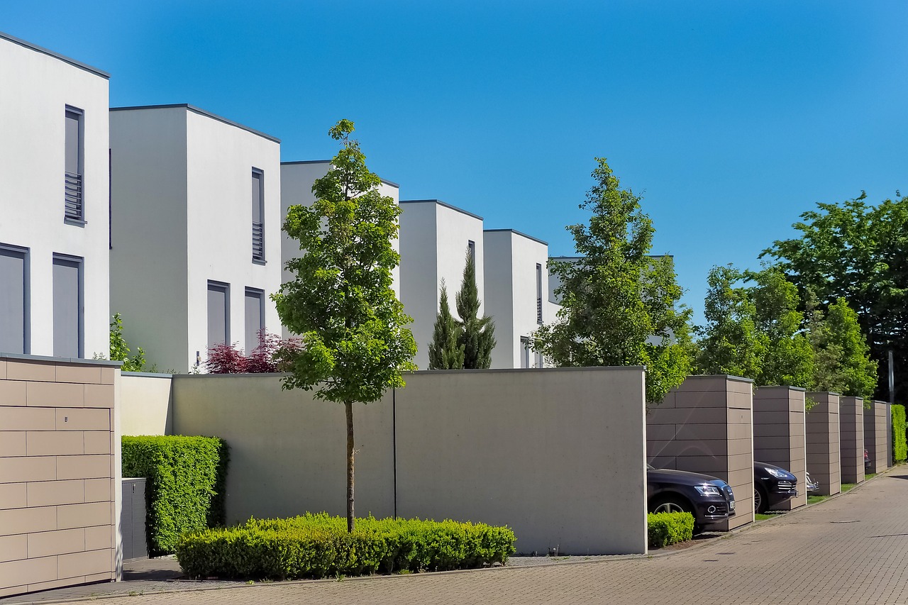 Quel arbre planter devant une maison ? Connaître les bons critères